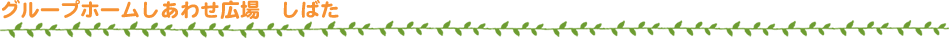 しあわせ広場しばた